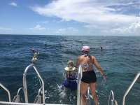 Great day of scuba diving in Key Largo with Rainbow Reef on hole in the wall tropical destiny 2018 08 17 r6862 1