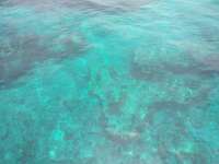 Great day of scuba diving in Key Largo with Rainbow Reef on hole in the wall tropical voyager 2018 08 09 r6789 1
