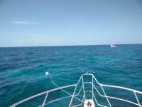 Great day of scuba diving in Key Largo with Rainbow Reef on molasses reef tropical adventure 2018 08 13 r6826 1