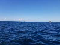 Great day of scuba diving in Key Largo with Rainbow Reef on north star tropical serenity 2018 08 21 r6899 1