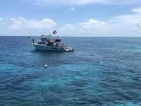 Great day of scuba diving in Key Largo with Rainbow Reef on north star tropical voyager 2018 08 22 r6908 1