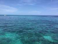 Great day of scuba diving in Key Largo with Rainbow Reef on pickle barrel wreck tropical serenity 2018 08 11 r6808 1