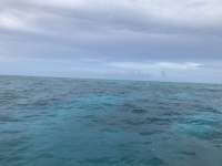 Great day of scuba diving in Key Largo with Rainbow Reef on pickle barrel wreck tropical serenity 2018 08 14 r6833 1