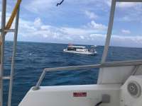 Great day of scuba diving in Key Largo with Rainbow Reef on spanish anchor tropical destiny 2018 08 28 r6952 1