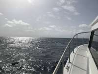 Great day of scuba diving in Key Largo with Rainbow Reef on spiegel grove tropical destiny 2018 08 08 r6775 1