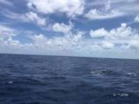 Great day of scuba diving in Key Largo with Rainbow Reef on spiegel grove tropical explorer 2018 08 04 r6736 1