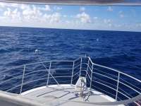 Great day of scuba diving in Key Largo with Rainbow Reef on spiegel grove tropical odyssey 2018 08 26 r6938 1