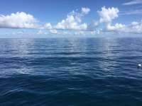 Great day of scuba diving in Key Largo with Rainbow Reef on spiegel grove tropical odyssey 2018 09 00 r7077 1