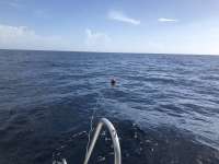 Great day of scuba diving in Key Largo with Rainbow Reef on uscgc duane tropical destiny 2018 08 14 r6829 1