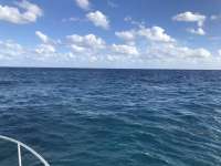 Great day of scuba diving in Key Largo with Rainbow Reef on eagle ray alley tropical destiny 2018 12 07 r7579 1