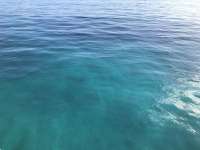 Great day of scuba diving in Key Largo with Rainbow Reef on eagle ray alley tropical serenity 2018 12 22 r7642 1