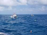 Great day of scuba diving in Key Largo with Rainbow Reef on eagle ray alley tropical serenity 2018 12 29 r7661 1