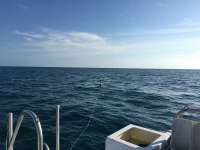 Great day of scuba diving in Key Largo with Rainbow Reef on french reef tropical legend 2018 12 04 r7569 1