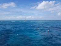 Great day of scuba diving in Key Largo with Rainbow Reef on hole in the wall tropical legend 2018 12 08 r7583 1