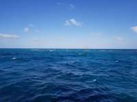 Great day of scuba diving in Key Largo with Rainbow Reef on hole in the wall tropical serenity 2018 12 30 r7668 1