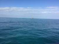 Great day of scuba diving in Key Largo with Rainbow Reef on molasses reef tropical destiny 2018 12 22 r7641 1