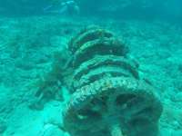 Great day of scuba diving in Key Largo with Rainbow Reef on molasses reef tropical legend 2018 12 30 r7672 1