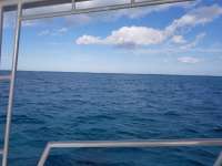 Great day of scuba diving in Key Largo with Rainbow Reef on snapper ledge tropical legend 2018 12 07 r7578 1