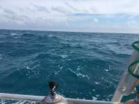 Great day of scuba diving in Key Largo with Rainbow Reef on snapper ledge tropical legend 2018 12 09 r7586 1