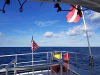 Great day of scuba diving in Key Largo with Rainbow Reef on spiegel grove tropical destiny 2018 12 19 r7631 1
