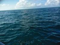Great day of scuba diving in Key Largo with Rainbow Reef on uscgc duane tropical destiny 2018 12 13 r7602 1