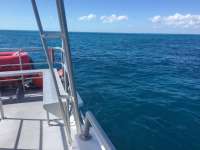 Great day of scuba diving in Key Largo with Rainbow Reef on benwood wreck tropical odyssey 2018 02 15 r5427 1