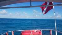 Great day of scuba diving in Key Largo with Rainbow Reef on benwood wreck tropical odyssey 2018 02 26 r5466 1