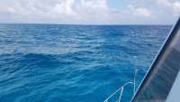 Great day of scuba diving in Key Largo with Rainbow Reef on benwood wreck tropical voyager 2018 02 06 r5387 1