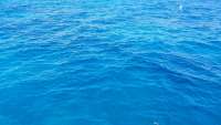 Great day of scuba diving in Key Largo with Rainbow Reef on benwood wreck tropical voyager 2018 02 08 r5396 1