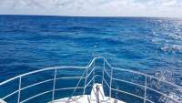 Great day of scuba diving in Key Largo with Rainbow Reef on christmastree cave tropical legend 2018 02 18 r5449 1