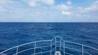 Great day of scuba diving in Key Largo with Rainbow Reef on christmastree cave tropical odyssey 2018 02 03 r5369 1
