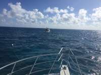 Great day of scuba diving in Key Largo with Rainbow Reef on eagle ray alley tropical adventure 2018 02 25 r5464 1