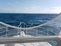 Great day of scuba diving in Key Largo with Rainbow Reef on fire coral cave tropical legend 2018 02 03 r5364 1