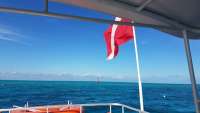 Great day of scuba diving in Key Largo with Rainbow Reef on fire coral cave tropical legend 2018 02 04 r5377 1