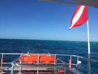 Great day of scuba diving in Key Largo with Rainbow Reef on molasses reef tropical legend 2018 02 14 r5419 1