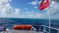 Great day of scuba diving in Key Largo with Rainbow Reef on molasses reef tropical legend 2018 02 24 r5457 1