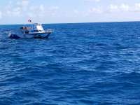 Great day of scuba diving in Key Largo with Rainbow Reef on molasses reef tropical legend 2018 02 26 r5465 1