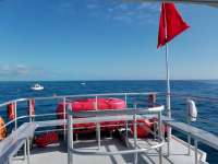 Great day of scuba diving in Key Largo with Rainbow Reef on molasses reef tropical odyssey 2018 02 05 r5380 1