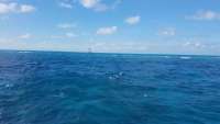 Great day of scuba diving in Key Largo with Rainbow Reef on north star tropical legend 2018 02 09 r5403 1