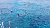 Great day of scuba diving in Key Largo with Rainbow Reef on pickle barrel wreck tropical legend 2018 02 02 r5356 1