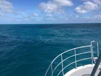 Great day of scuba diving in Key Largo with Rainbow Reef on snapper ledge tropical odyssey 2018 02 09 r5404 1