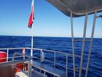 Great day of scuba diving in Key Largo with Rainbow Reef on spiegel grove tropical odyssey 2018 02 14 r5417 1