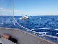 Great day of scuba diving in Key Largo with Rainbow Reef on spiegel grove tropical odyssey 2018 02 27 r5471 1