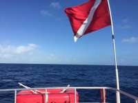 Great day of scuba diving in Key Largo with Rainbow Reef on uscgc duane tropical odyssey 2018 02 12 r5411 1