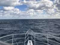 Great day of scuba diving in Key Largo with Rainbow Reef on benwood wreck tropical legend 2018 01 07 r5267 1