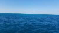 Great day of scuba diving in Key Largo with Rainbow Reef on christmastree cave tropical odyssey 2018 01 13 r5297 1
