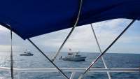 Great day of scuba diving in Key Largo with Rainbow Reef on eagle ray alley tropical adventure 2018 01 14 r5305 1
