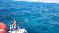 Great day of scuba diving in Key Largo with Rainbow Reef on eagle ray alley tropical legend 2018 01 11 r5286 1