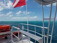 Great day of scuba diving in Key Largo with Rainbow Reef on eagle ray alley tropical legend 2018 01 31 r5347 1