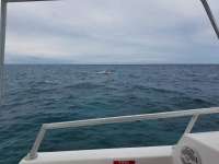 Great day of scuba diving in Key Largo with Rainbow Reef on hole in the wall tropical legend 2018 01 10 r5281 1